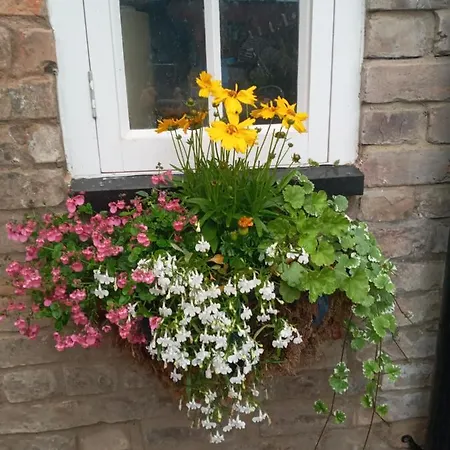 Delighful Self Catering In The Heart Of Glastonbury Exterior photo