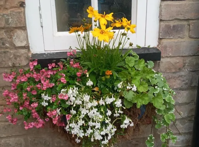 Delighful Self Catering In The Heart Of Glastonbury