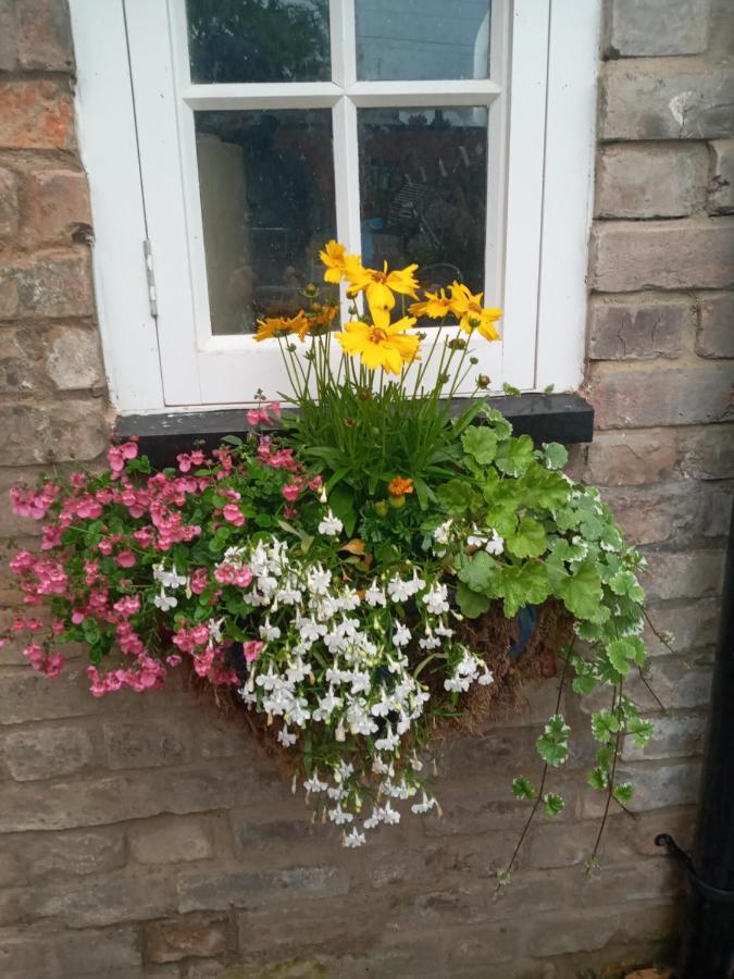 Delighful Self Catering In The Heart Of Apartment Glastonbury