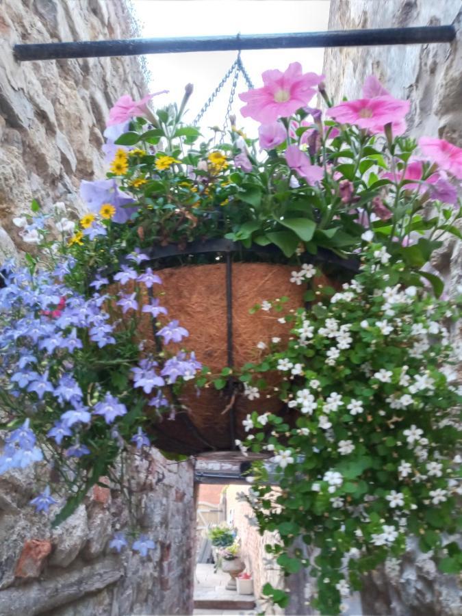 Delighful Self Catering In The Heart Of Apartment *